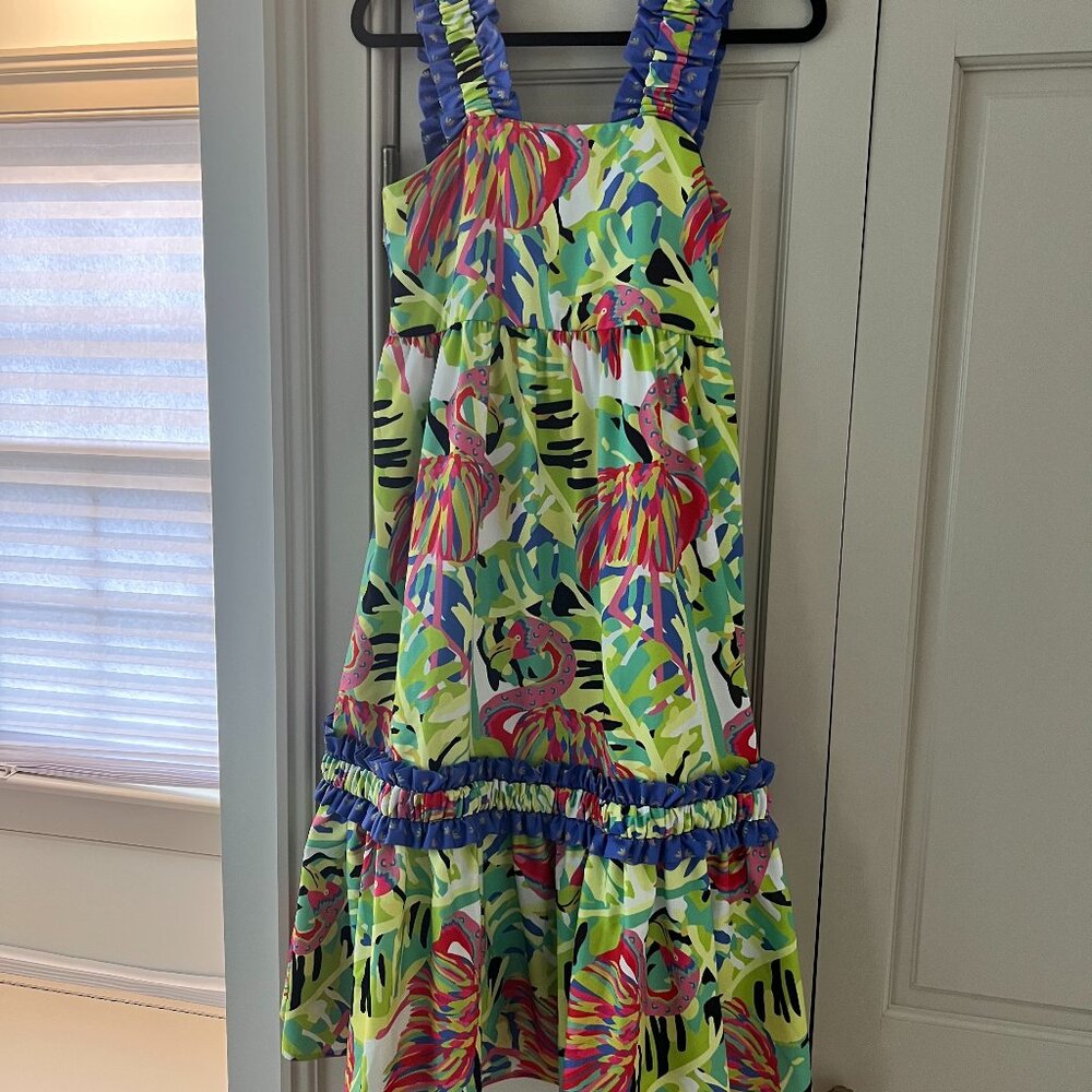 Size XS CROSBY dress by Mollie Burch
